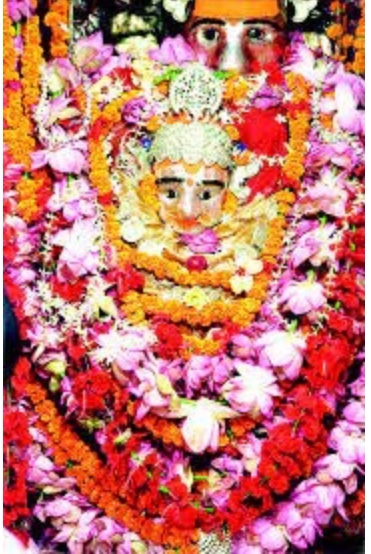 बिलासपुर: महामाया देवी मंदिर को 2‎ क्विंटल फूलों से सजाया, घटस्थापना के साथ मनोकामना ज्योति प्रज्जवलित, सुबह से ही श्रद्धालुओं का लगा तांता