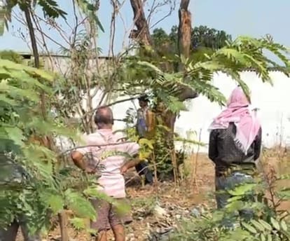 कोरबा: पेड़ पर लटका मिला युवक का शव, पत्नी से विवाद के बाद निकला था घर से; जांच में जुटी पुलिस