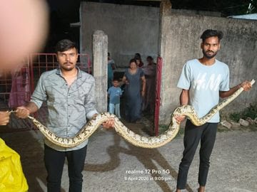 कोरबा: गर्ल्स आईटीआई कॉलेज में दिखा 10 फीट का अजगर, स्नेक कैचर ने रेस्क्यू कर सुरक्षित जंगल में छोड़ा