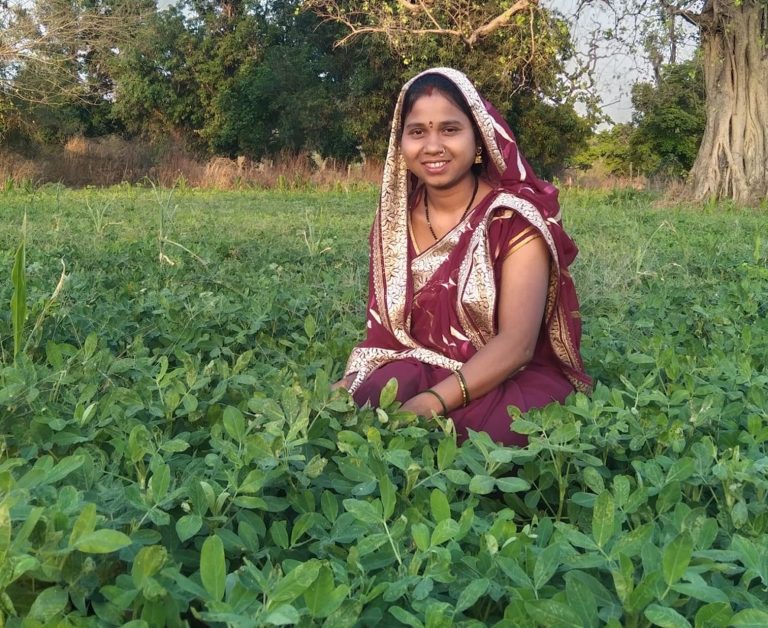 बालको की पहल से मूंगफली बनी किसानों की आय बढ़ाने का सशक्त माध्यम