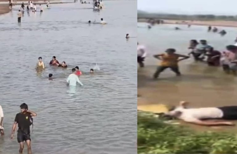 कोरबा: गहरे पानी में डूबने से नाबालिग की मौत, झोराघाट में पिकनिक मनाने पहुंचा था परिवार