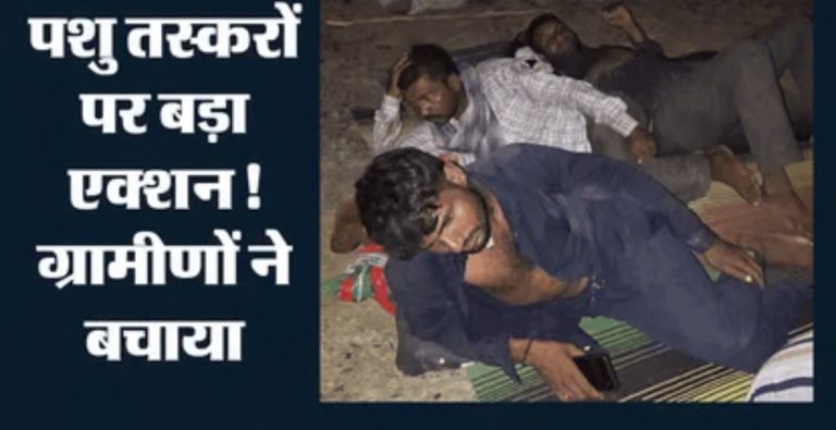 कोरबा: मवेशी तस्करी का भंडाफोड़,  28 पशु पेड़ से बंधे मिले; मुख्य आरोपी समेत पांच गिरफ्तार