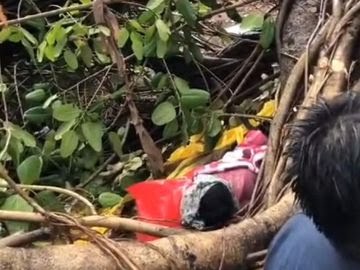 कोरबा: बरगद का पेड़ गिरने से महिला दबी, दो घंटे रेस्क्यू कर बचाई गई जान; हालत खतरे से बाहर