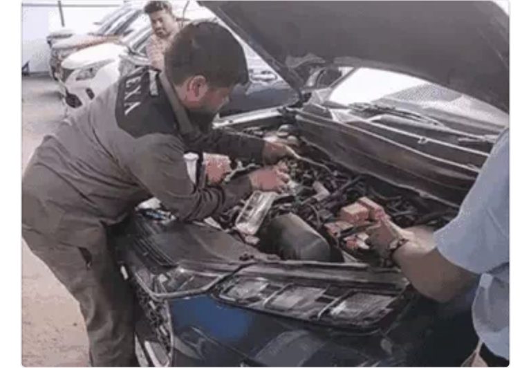 छत्तीसगढ़: E-20 पेट्रोल डालने से इंजन खराब, कोर्ट ने कहा- नई कार दें या 20 लाख लौटाएँ