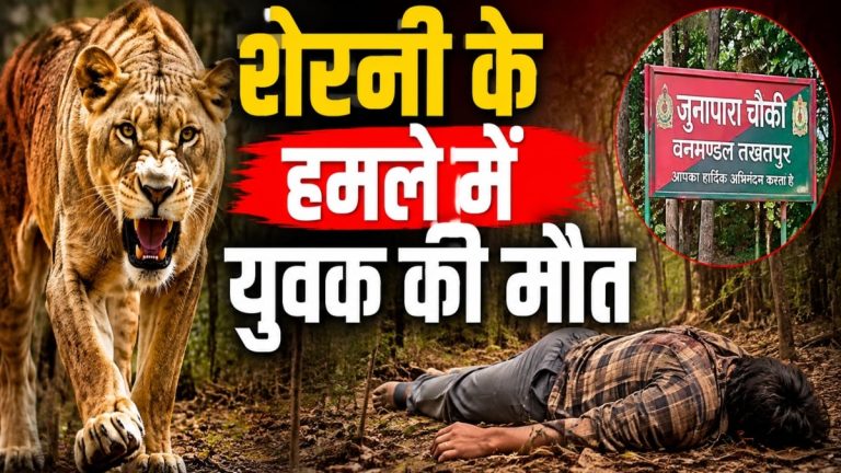 बिलासपुर : शेरनी के हमले में युवक की मौत, इलाके में दहशत का माहौल