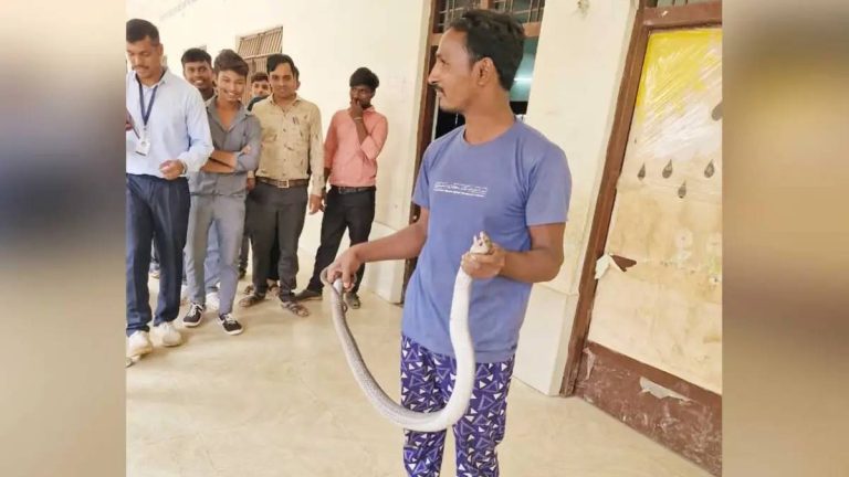 छत्तीसगढ़: रेस्क्यू के दौरान स्नेक कैचर को सांप ने डसा, इलाज के दौरान हुई मौत