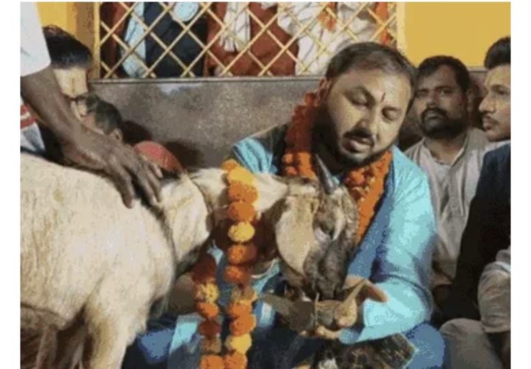 बस्तर दशहरा: देर रात निभाया गया निशा जात्रा विधान, 12 बकरों की बलि देकर निभाई 618 साल पुरानी परंपरा;पहले गुप्त तरीके से होता था विधान